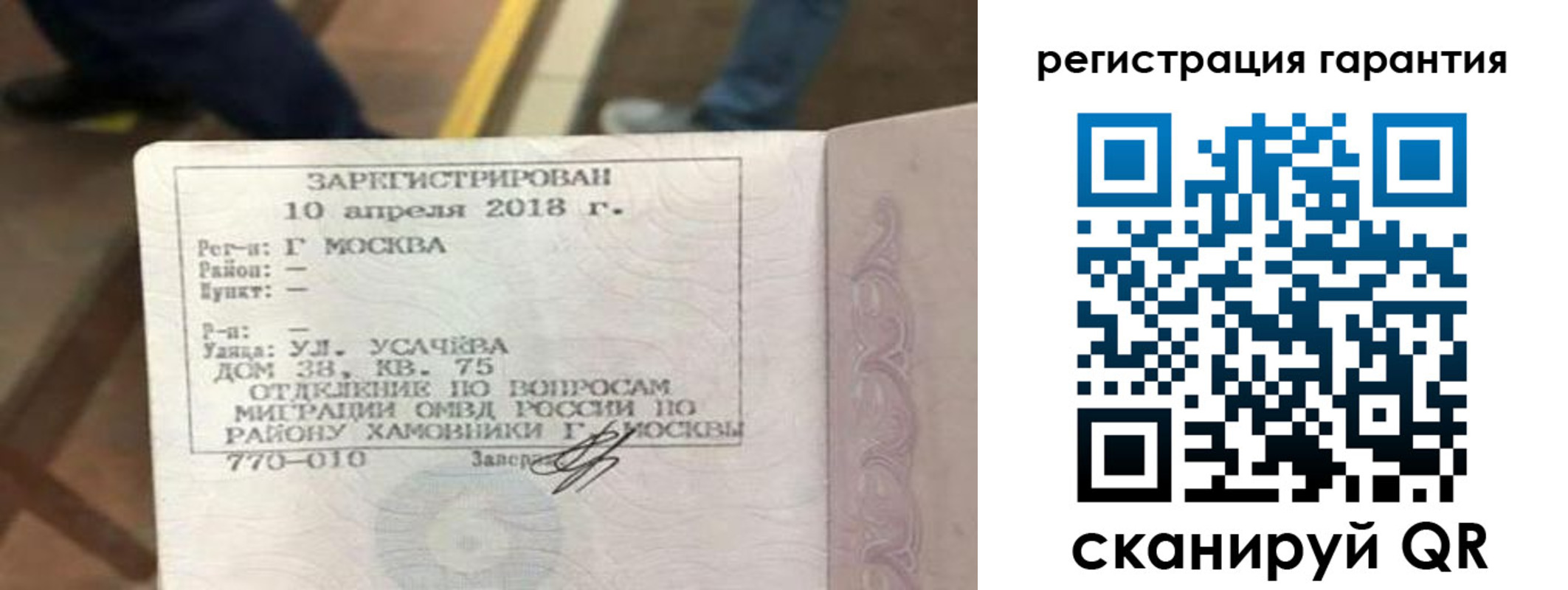 прописка поиск в Брянской области